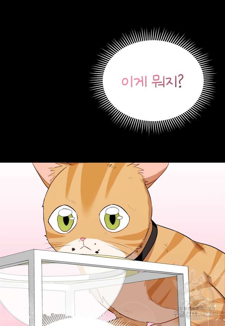 수의사님! 안녕하세요? 7화 76