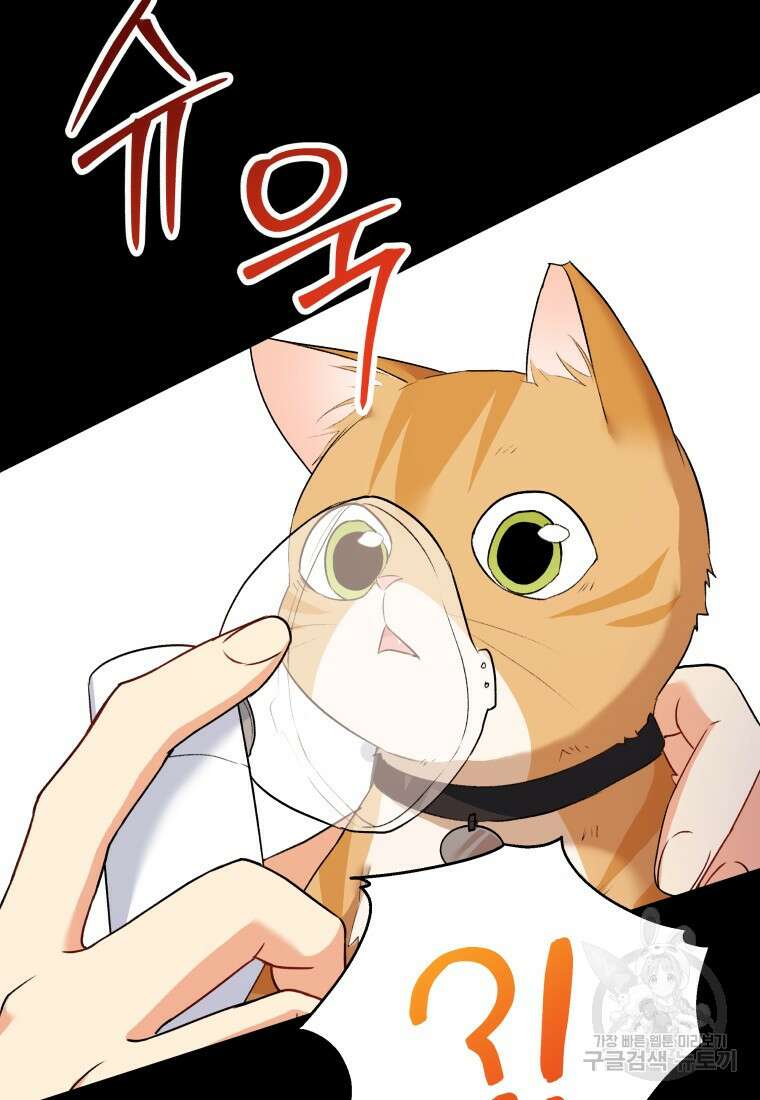 수의사님! 안녕하세요? 7화 80