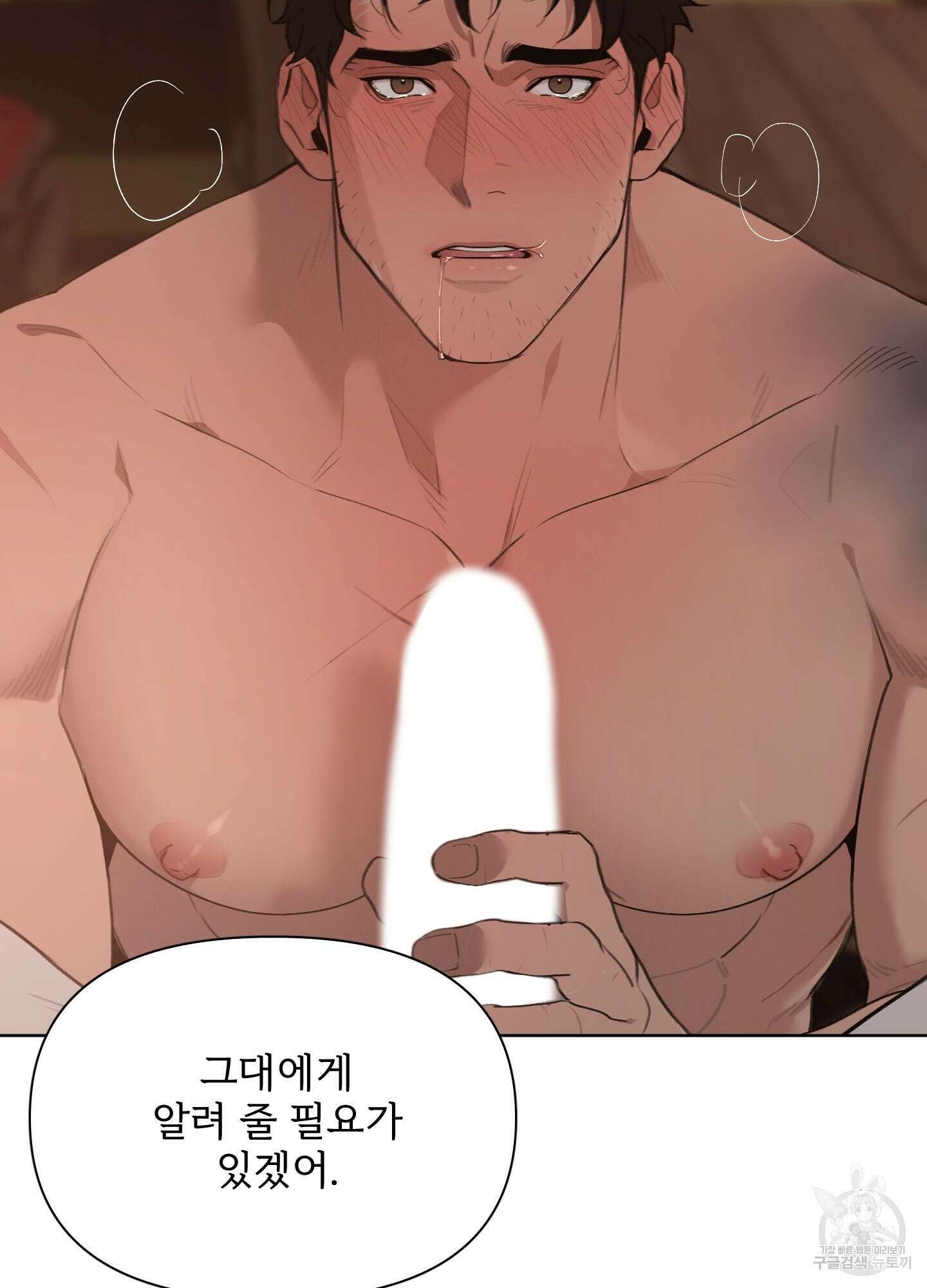 Plaything(플레이싱)~어느 대공 각하의 장난감~ 27화 12
