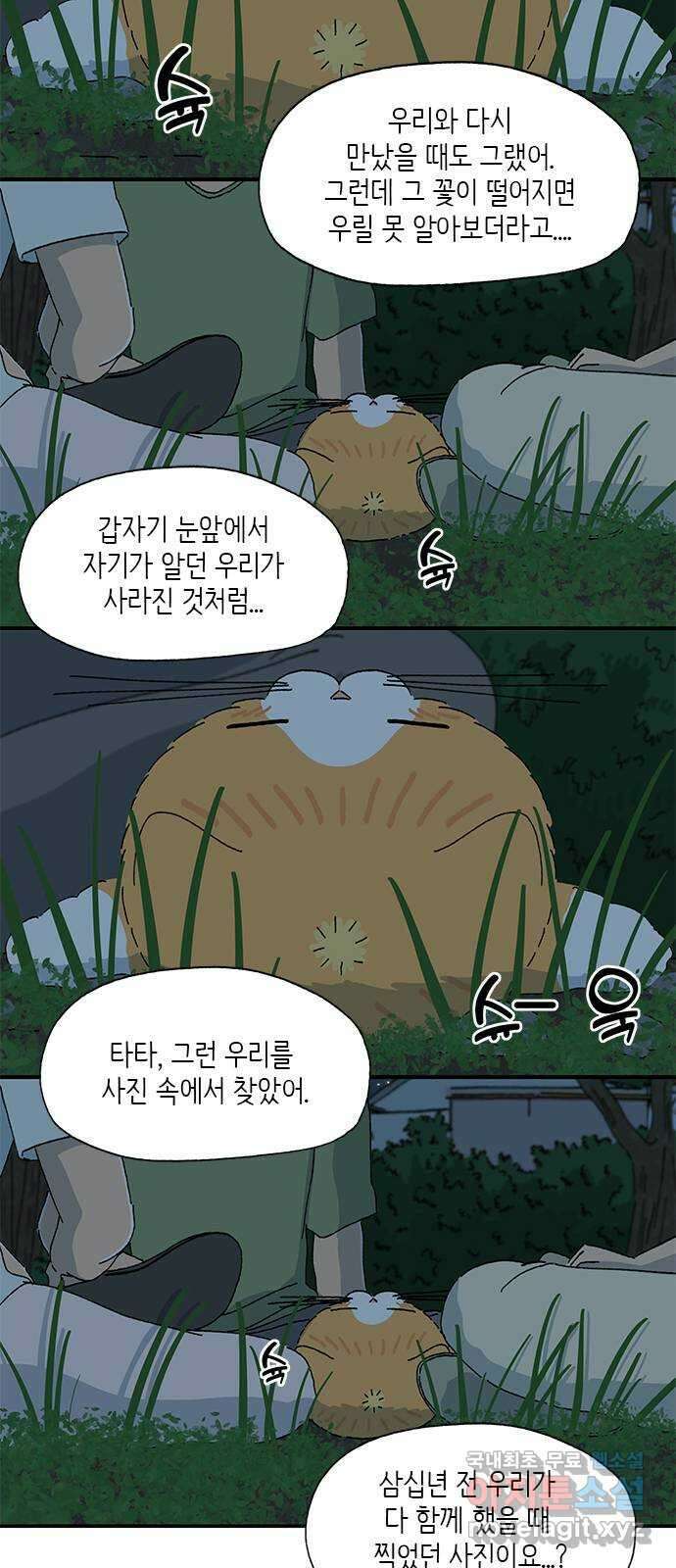 고양이 타타 38화 11
