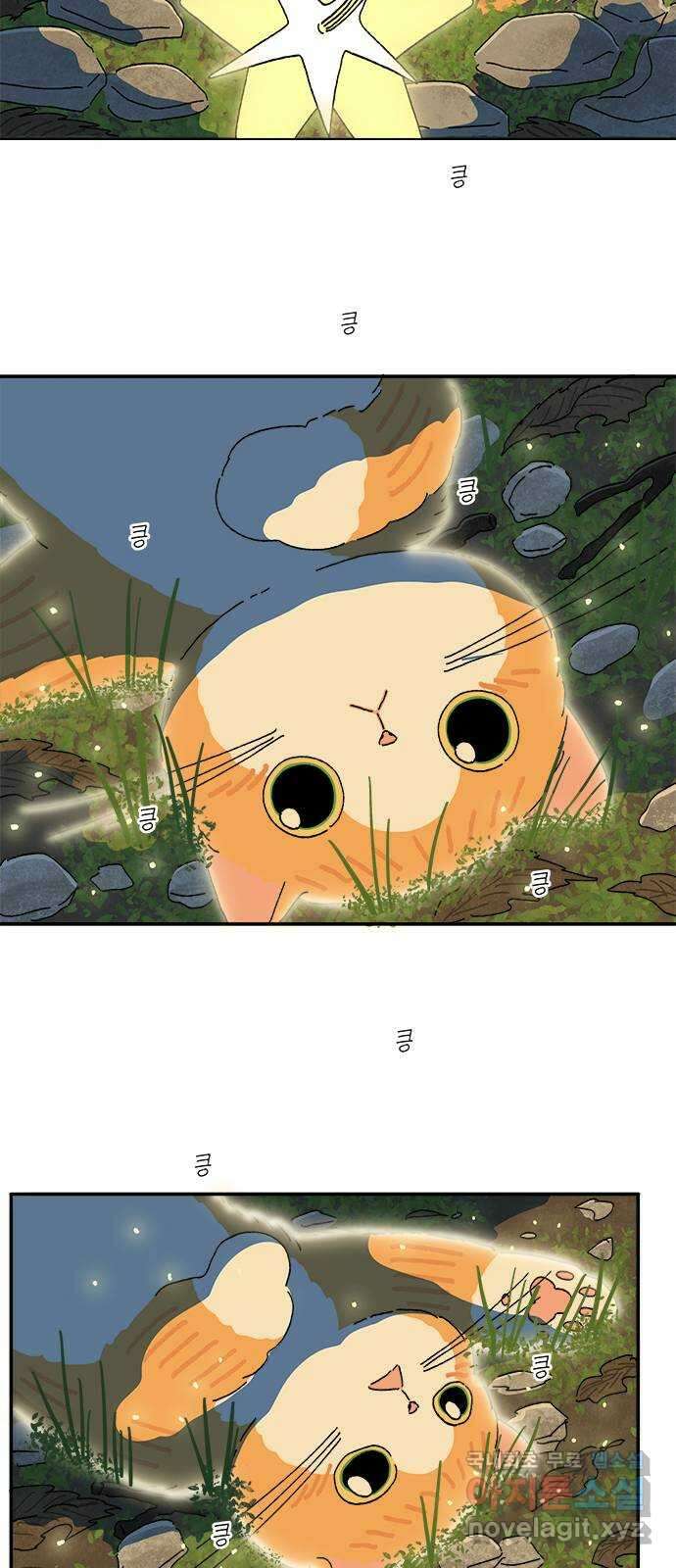 고양이 타타 38화 38
