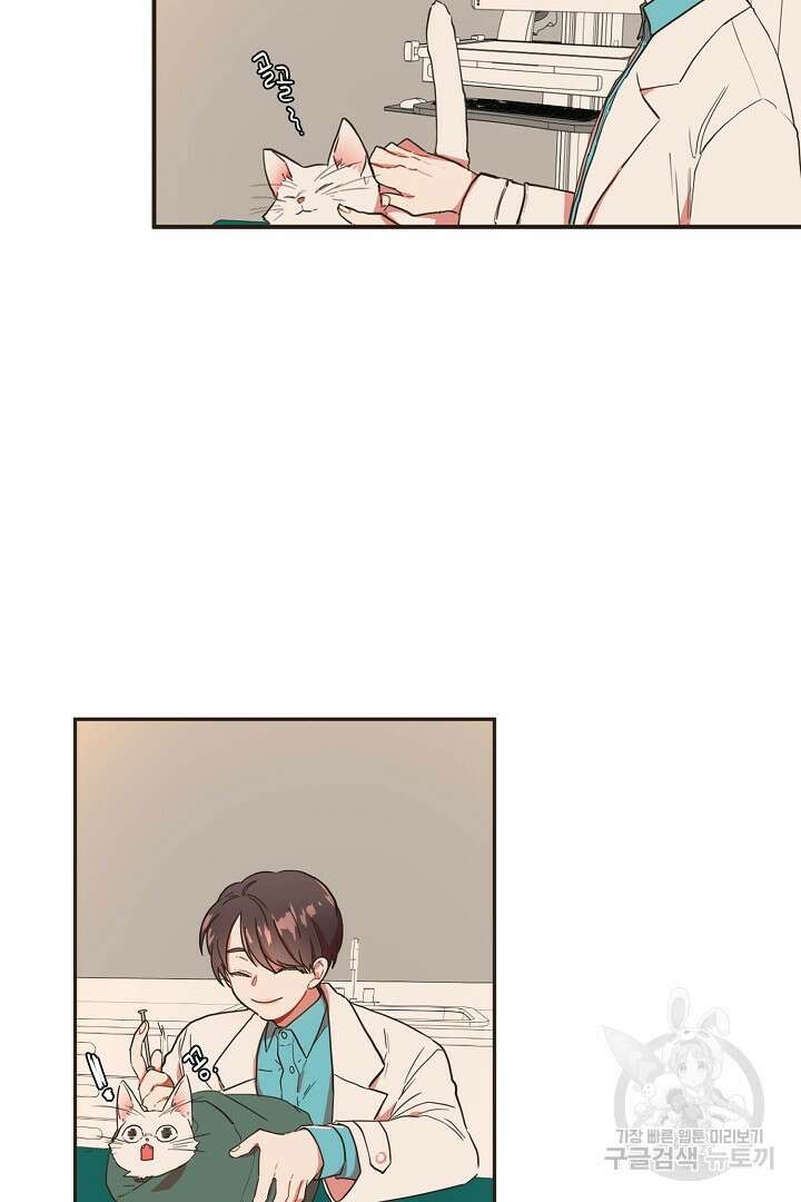 멍멍냥냥 73화 17