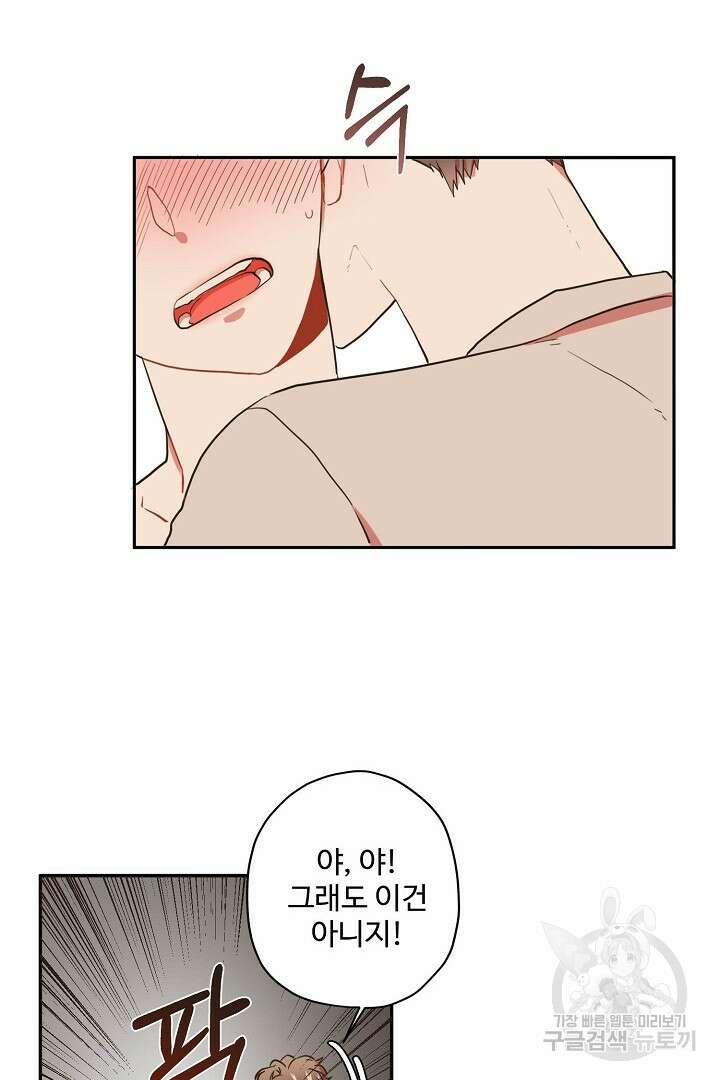 멍멍냥냥 73화 38