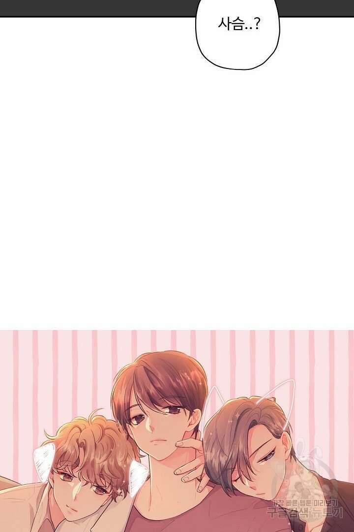 멍멍냥냥 78화 7