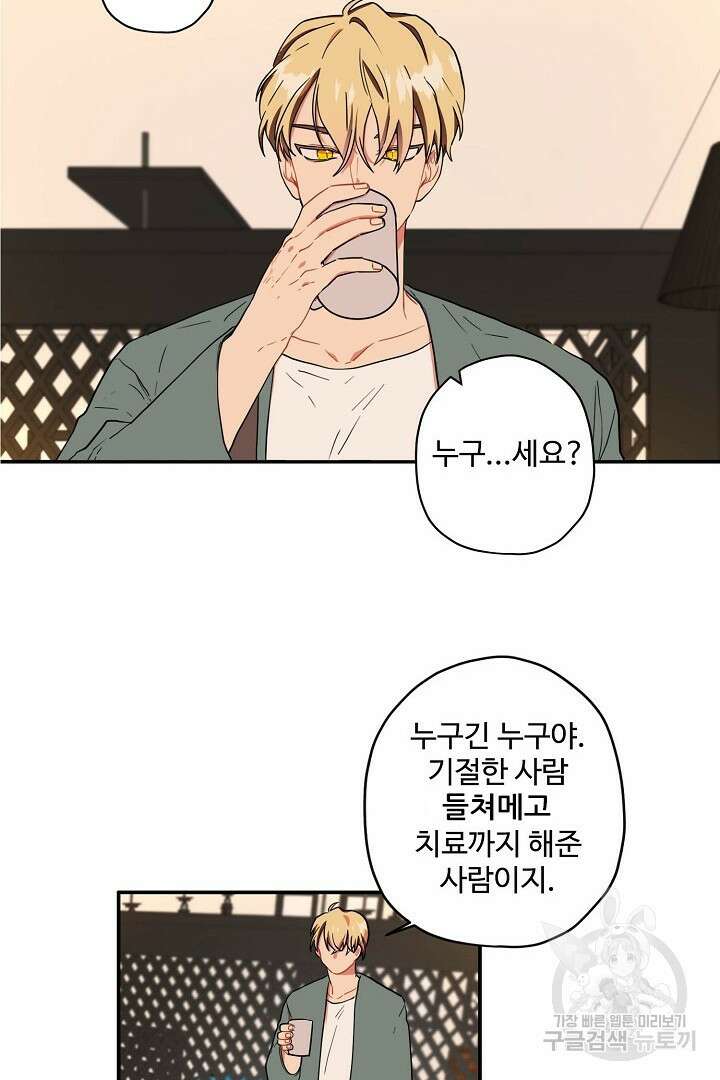 멍멍냥냥 78화 18