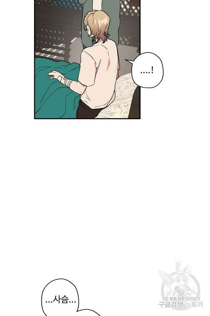 멍멍냥냥 78화 19