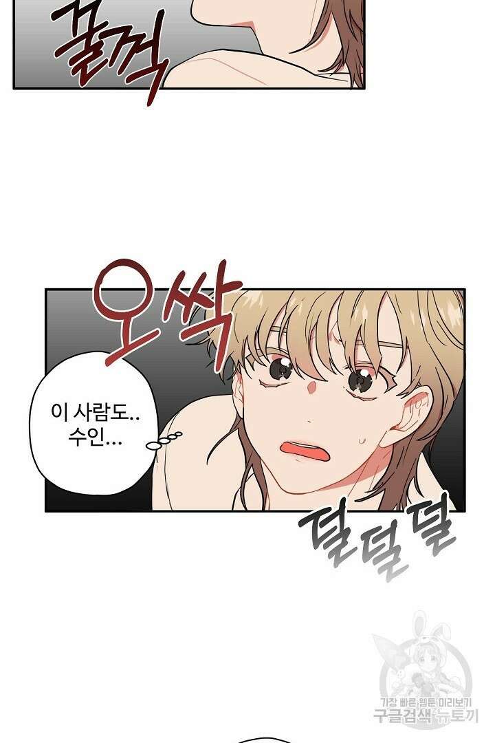 멍멍냥냥 78화 22