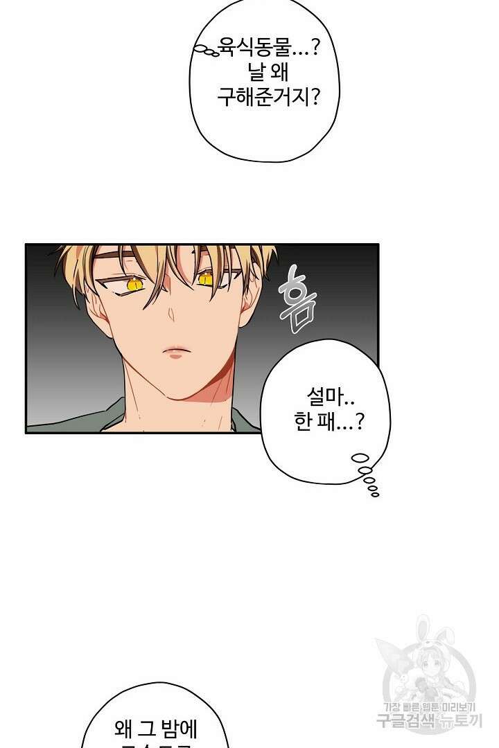 멍멍냥냥 78화 23