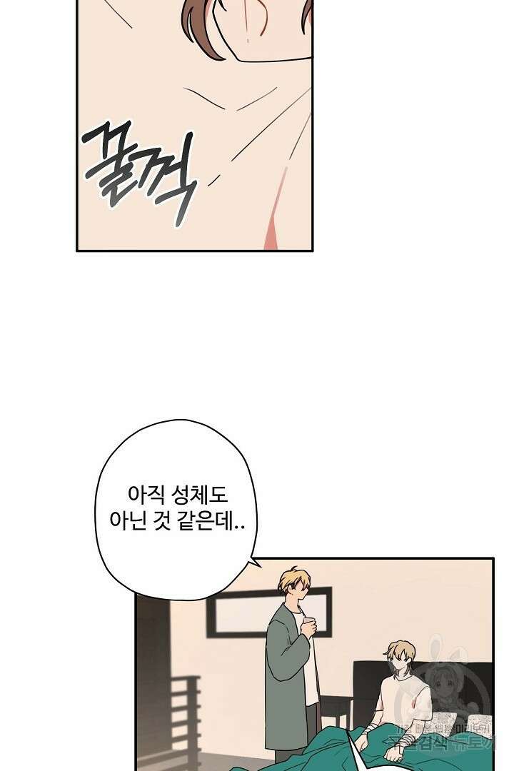 멍멍냥냥 78화 25