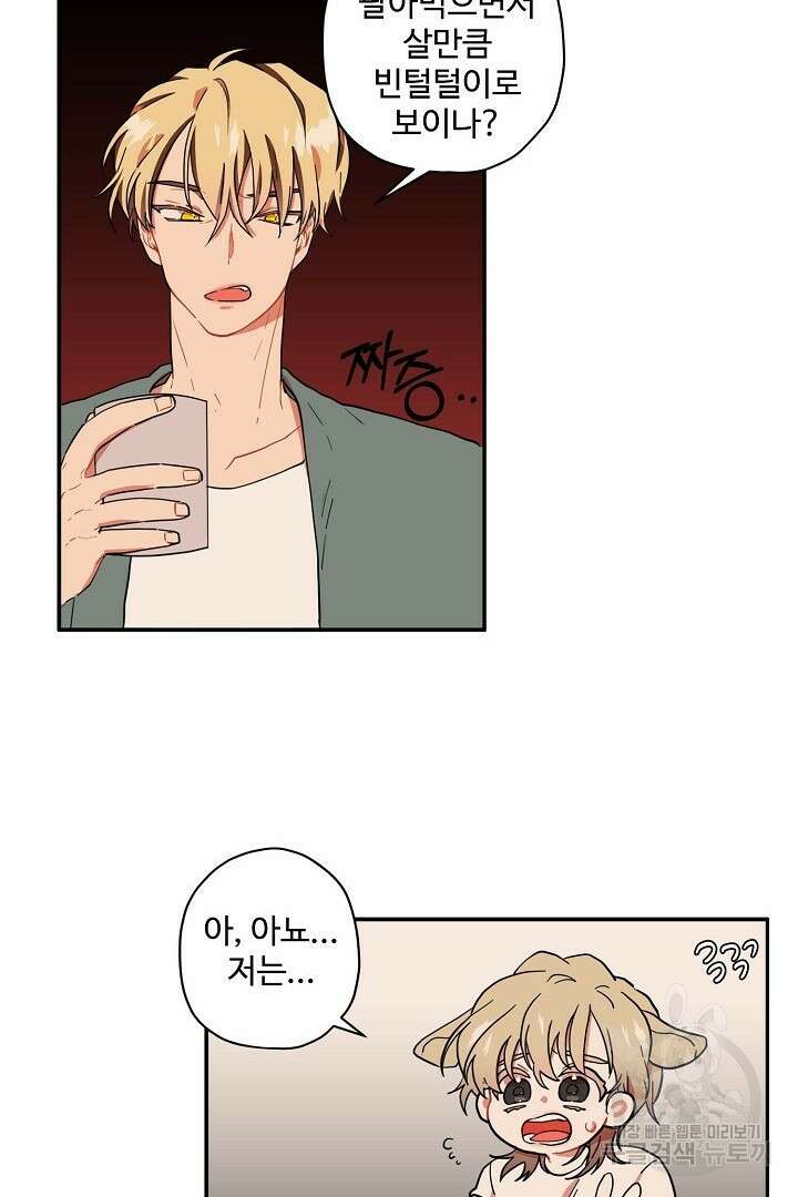 멍멍냥냥 78화 35