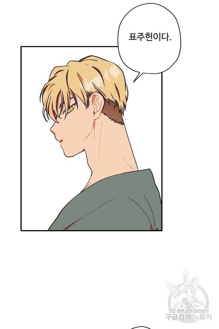 멍멍냥냥 78화 38