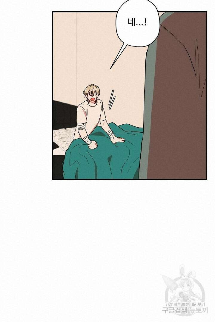 멍멍냥냥 78화 39