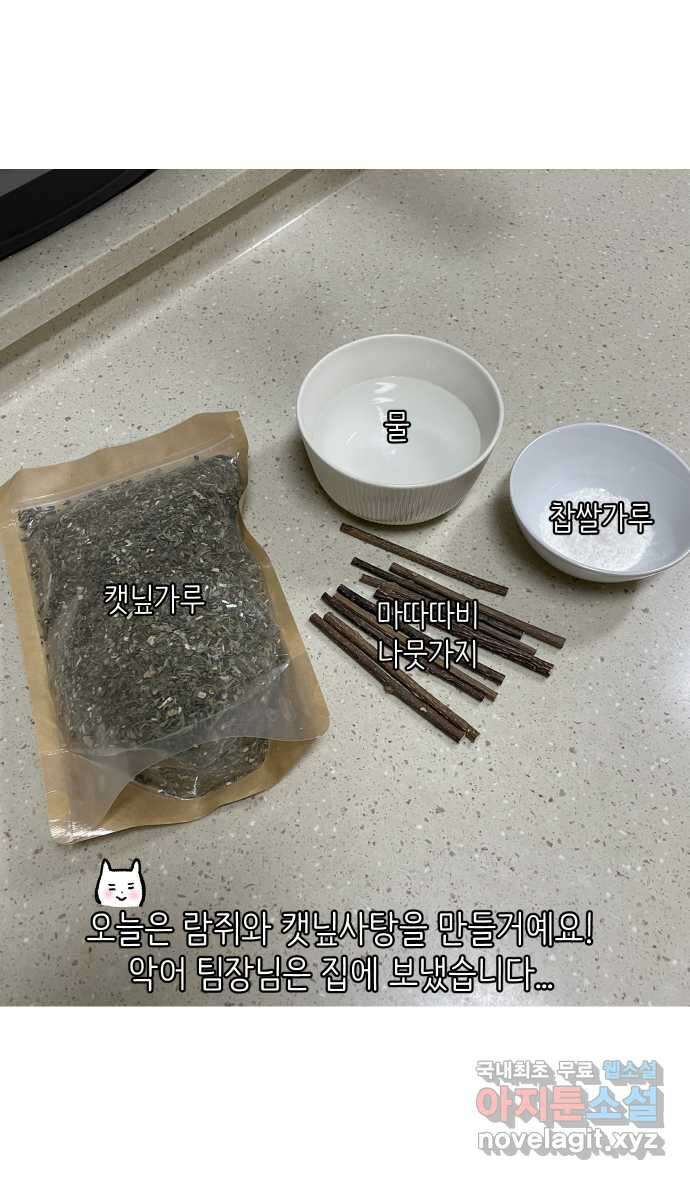 애옹식당 94화 펫페어와 DIY 캣닢사탕 21