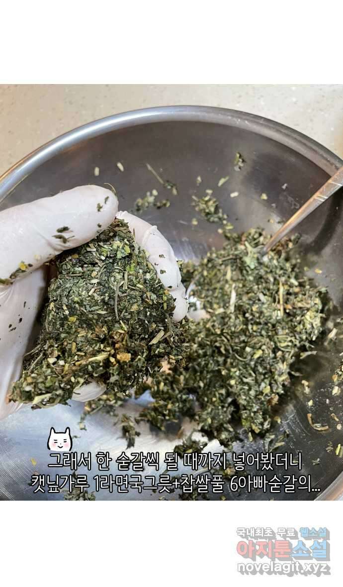 애옹식당 94화 펫페어와 DIY 캣닢사탕 28