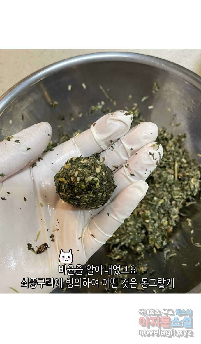 애옹식당 94화 펫페어와 DIY 캣닢사탕 29