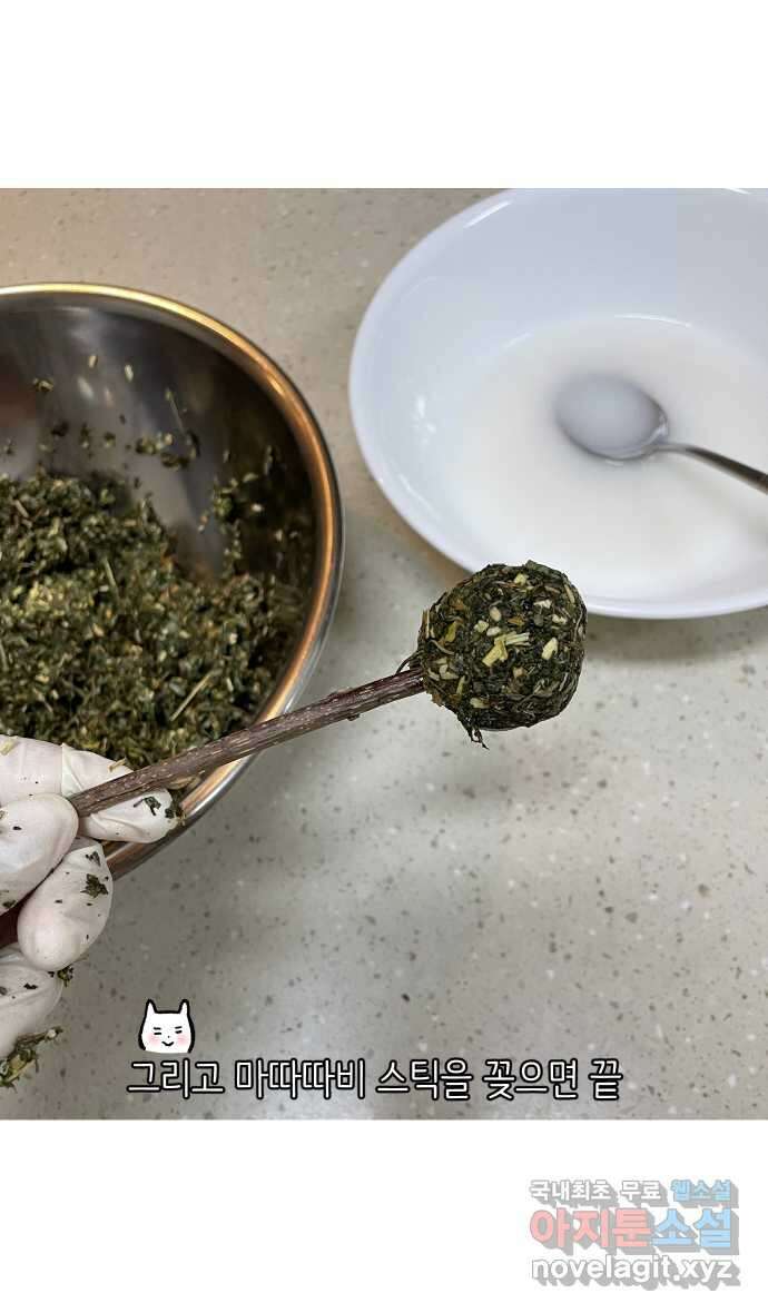 애옹식당 94화 펫페어와 DIY 캣닢사탕 31
