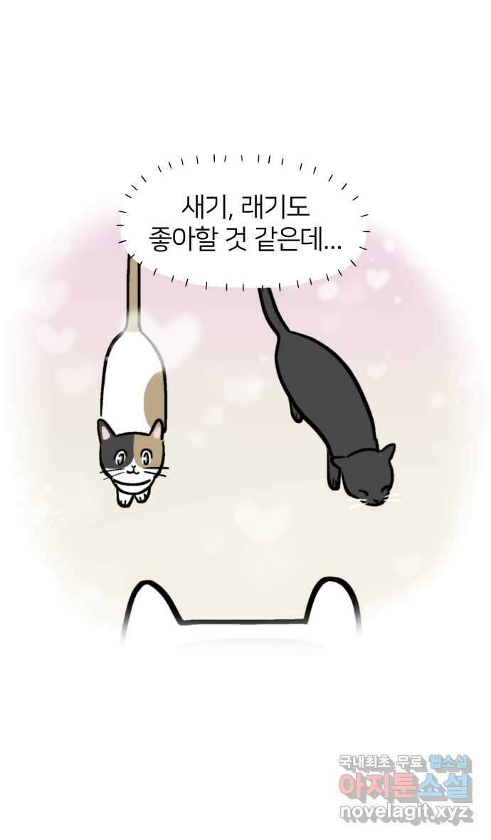 애옹식당 94화 펫페어와 DIY 캣닢사탕 35
