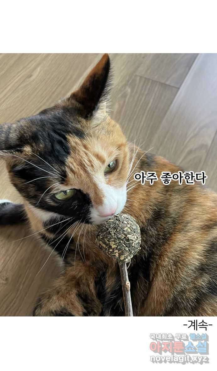 애옹식당 94화 펫페어와 DIY 캣닢사탕 39