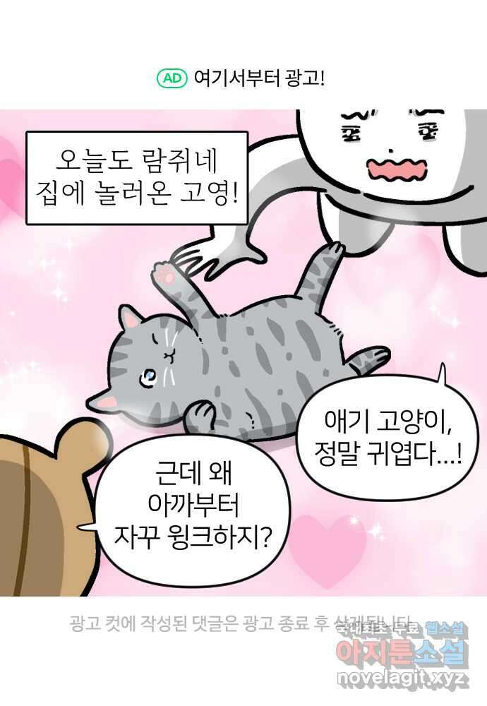 애옹식당 94화 펫페어와 DIY 캣닢사탕 40