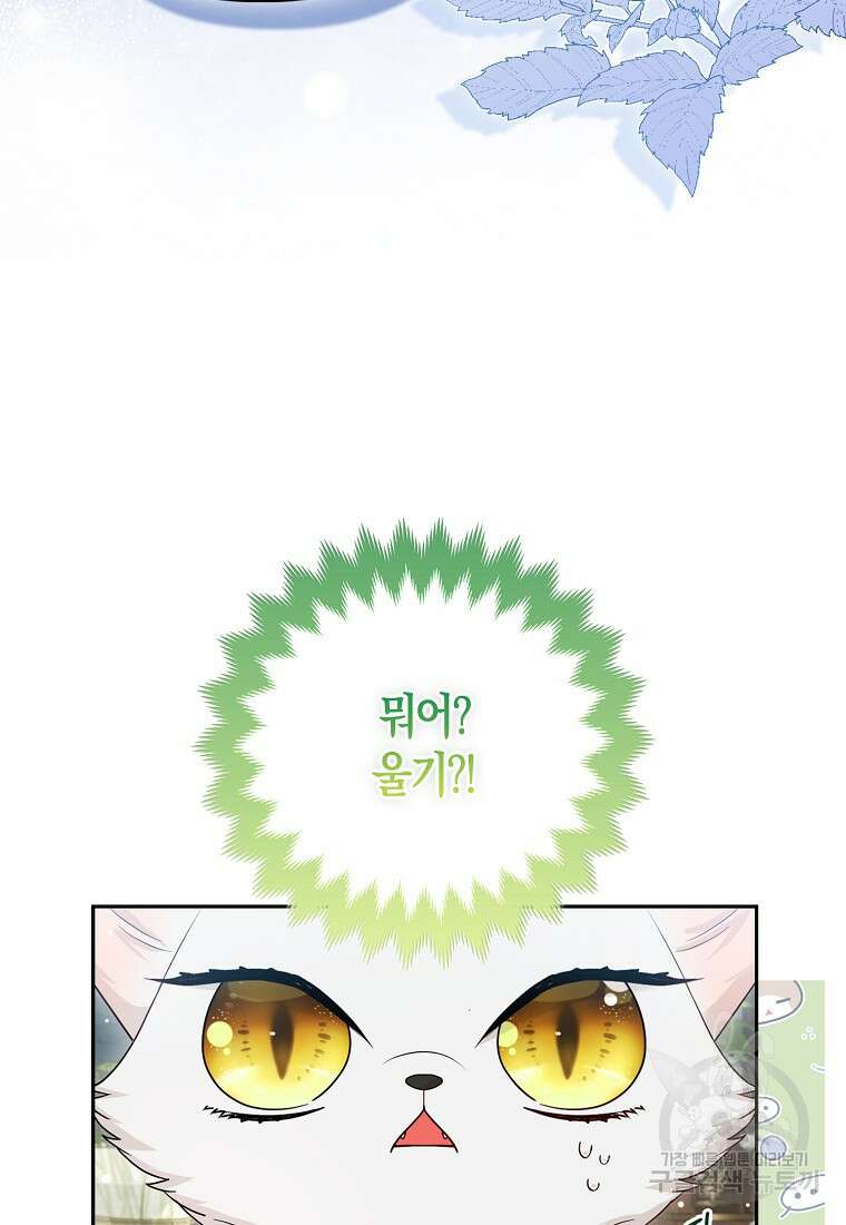 대공가의 여우 황녀님 13화 16