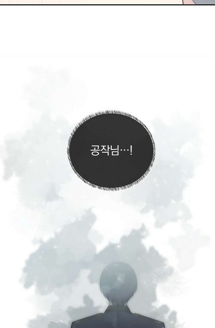 눌리타스 : 절반의 백작 영애 108화 13