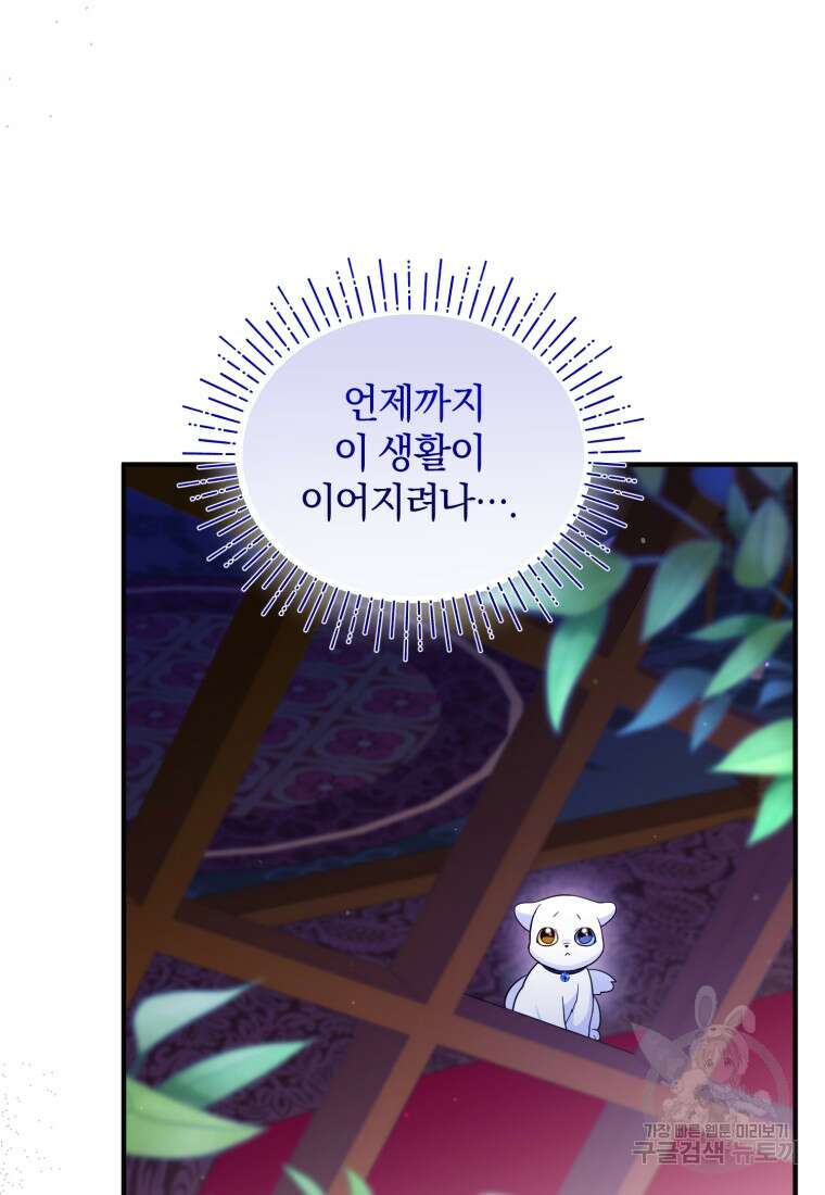 술탄의 귀한 고양이가 되었습니다 9화 10