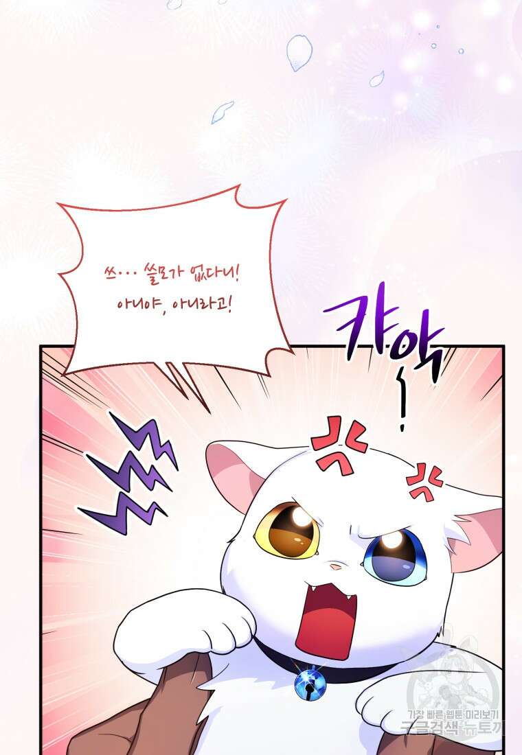 술탄의 귀한 고양이가 되었습니다 9화 17