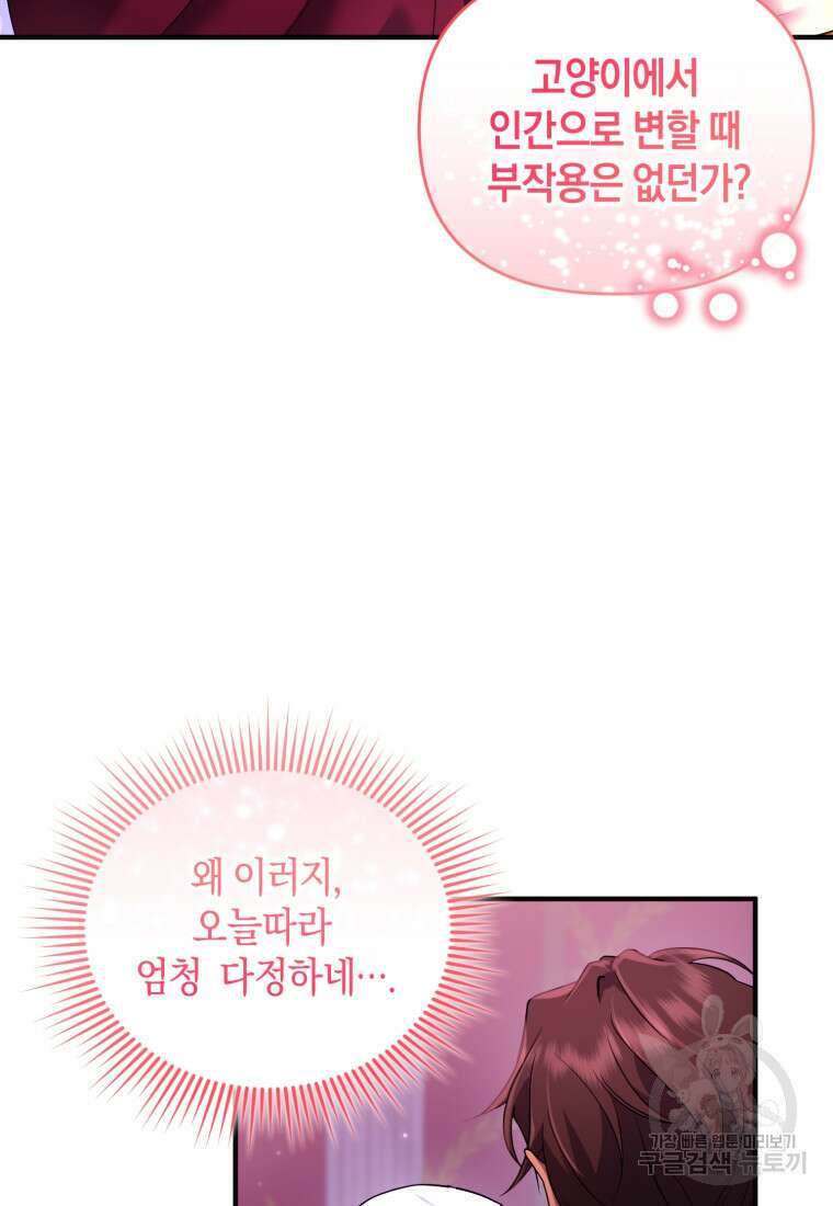 술탄의 귀한 고양이가 되었습니다 16화 13
