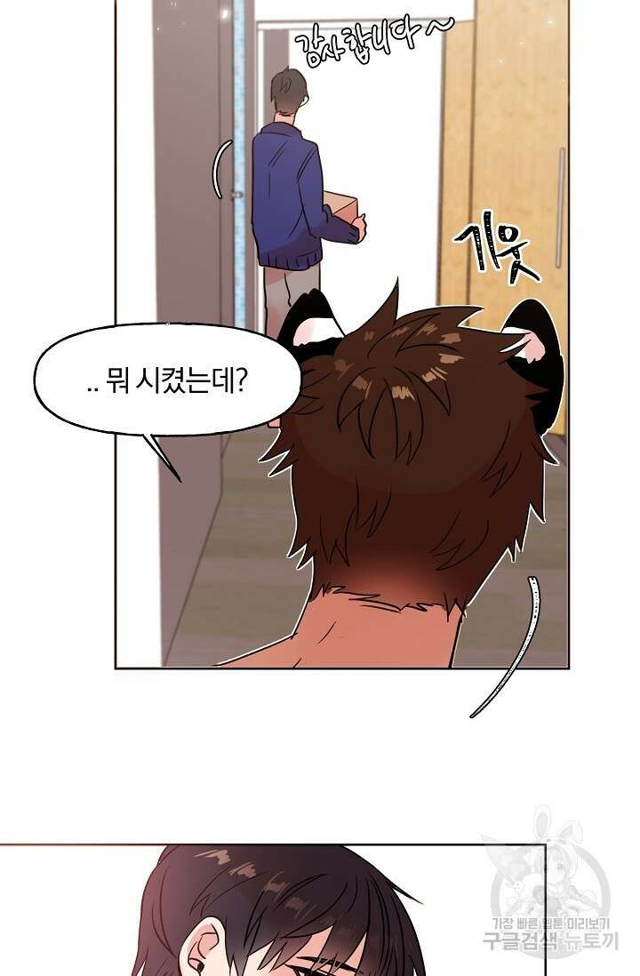 골판지 상자 안 고양이씨 시즌2 1화 16