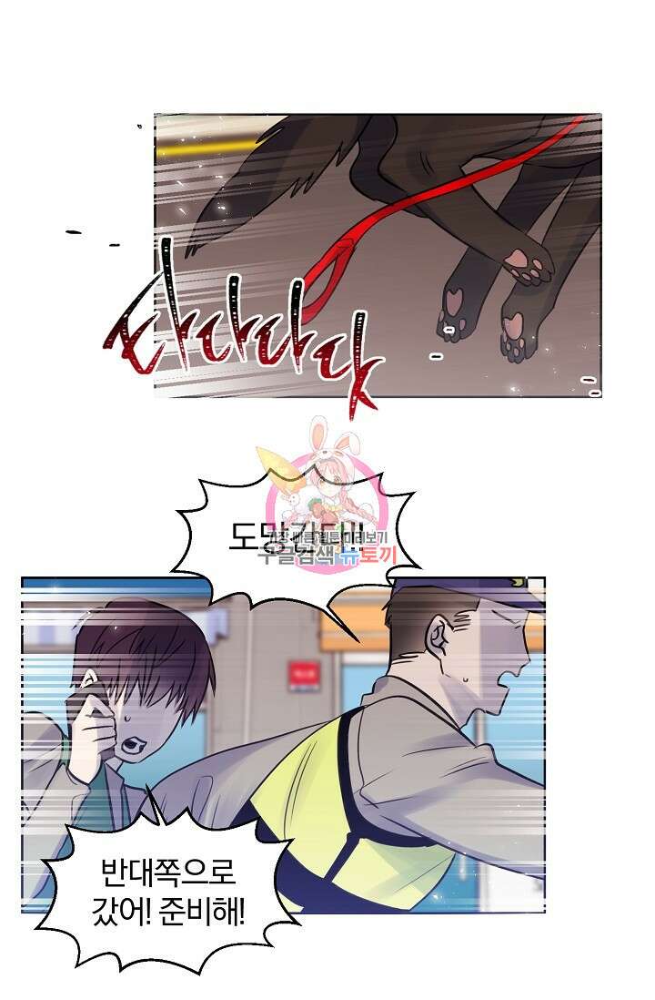 골판지 상자 안 고양이씨 시즌2 19화 1