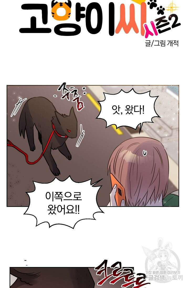 골판지 상자 안 고양이씨 시즌2 19화 3