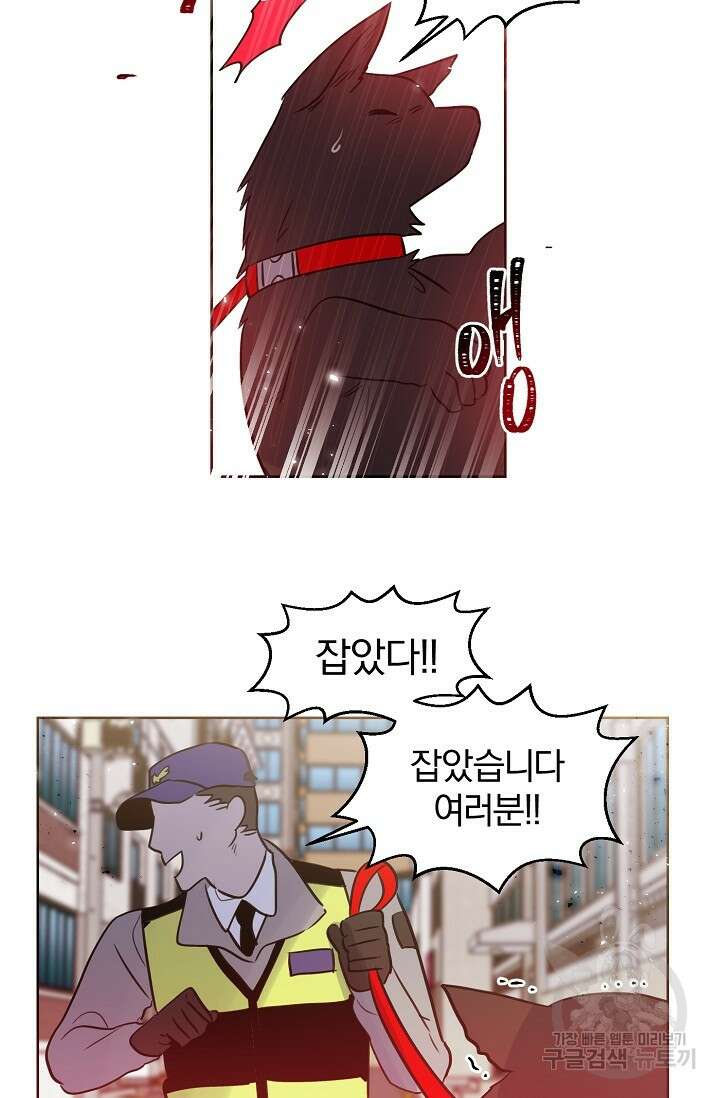 골판지 상자 안 고양이씨 시즌2 19화 7