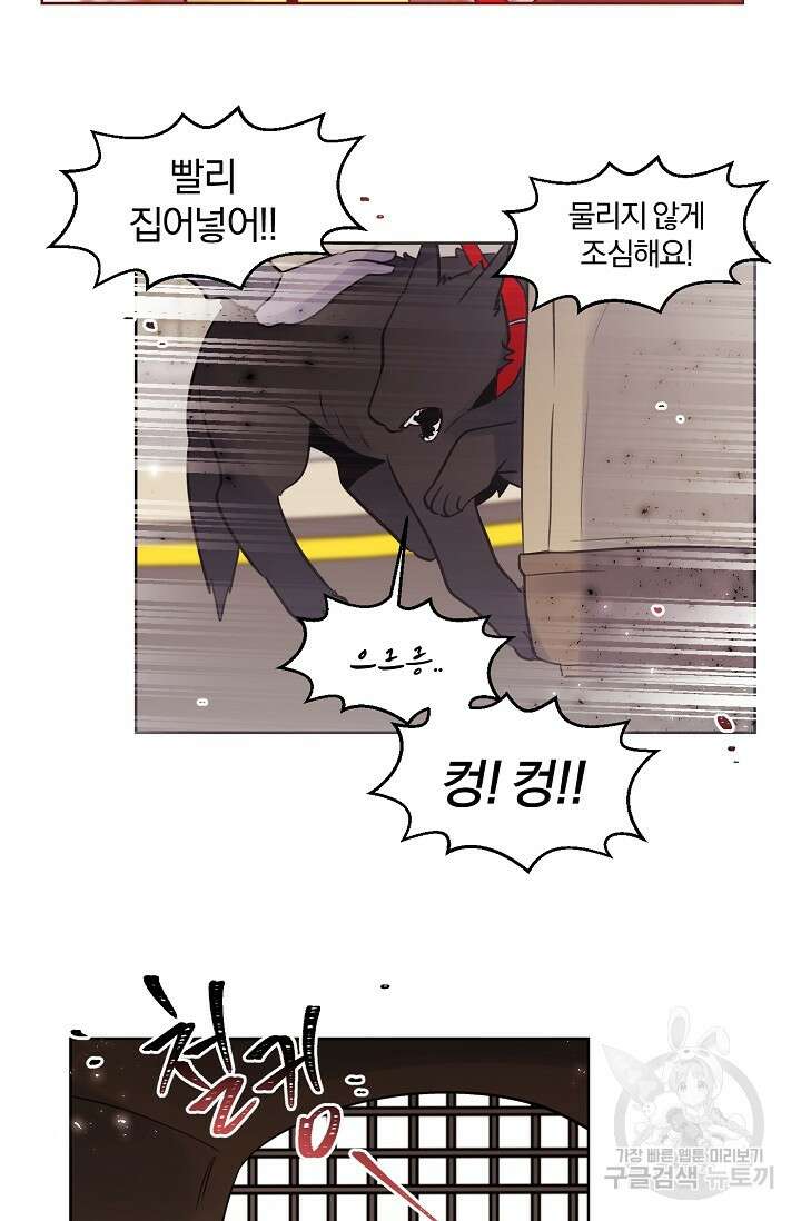 골판지 상자 안 고양이씨 시즌2 19화 8