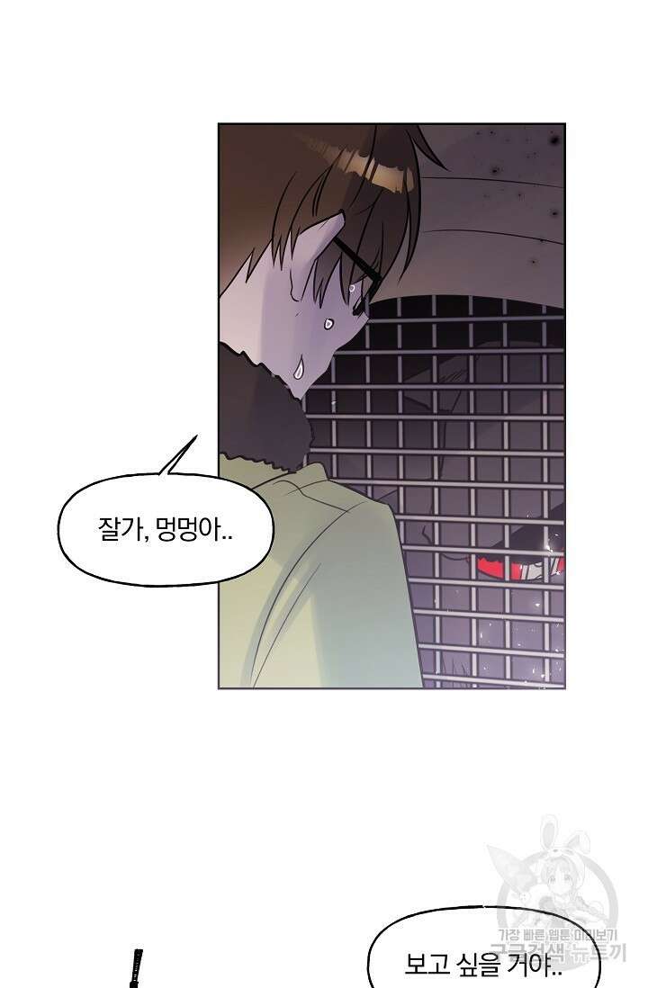 골판지 상자 안 고양이씨 시즌2 19화 17