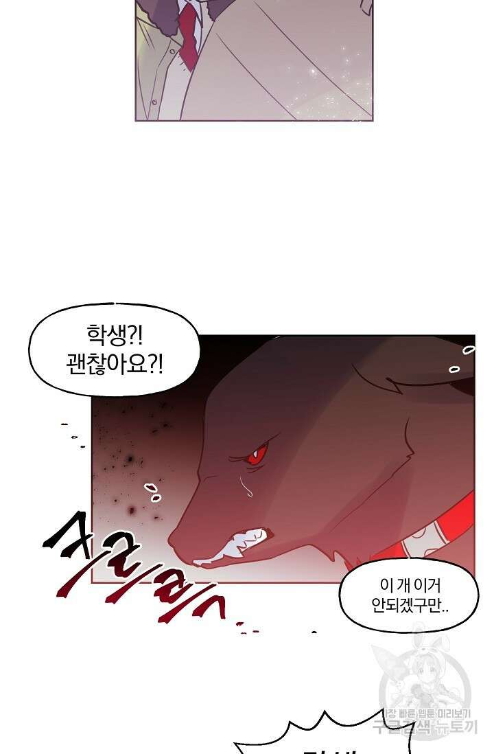 골판지 상자 안 고양이씨 시즌2 19화 19