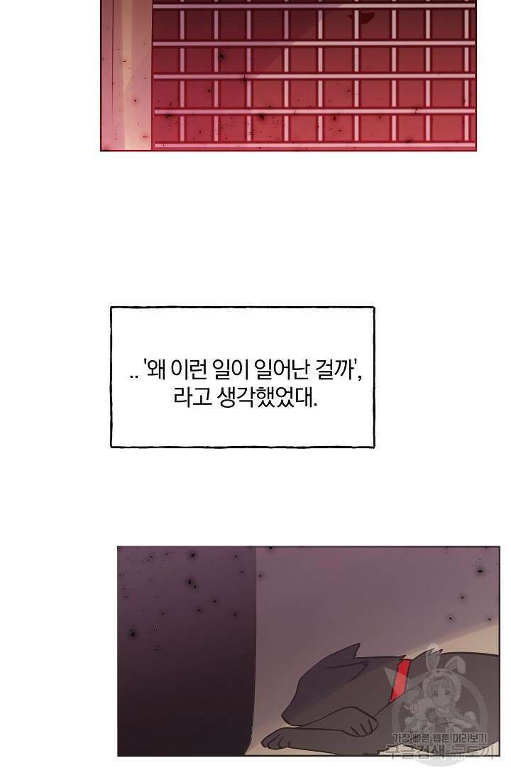 골판지 상자 안 고양이씨 시즌2 19화 21