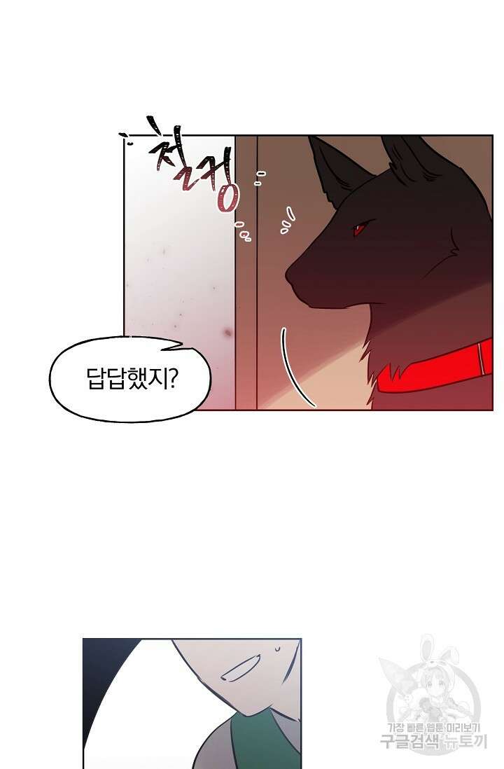 골판지 상자 안 고양이씨 시즌2 19화 22