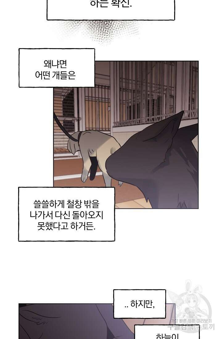 골판지 상자 안 고양이씨 시즌2 19화 26