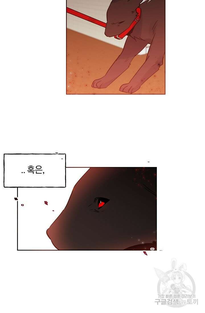 골판지 상자 안 고양이씨 시즌2 19화 30