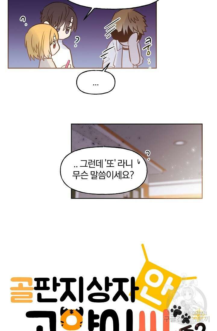 골판지 상자 안 고양이씨 시즌2 20화 4