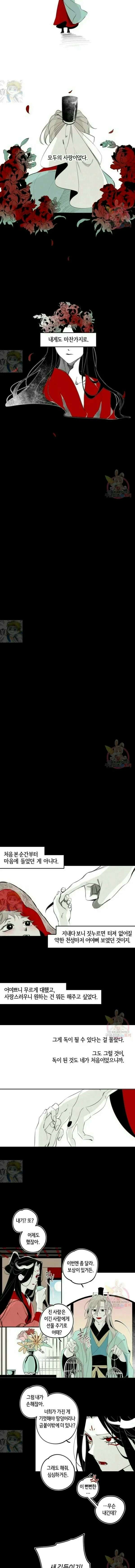이시미 이야기 13화 착란錯亂 2 2
