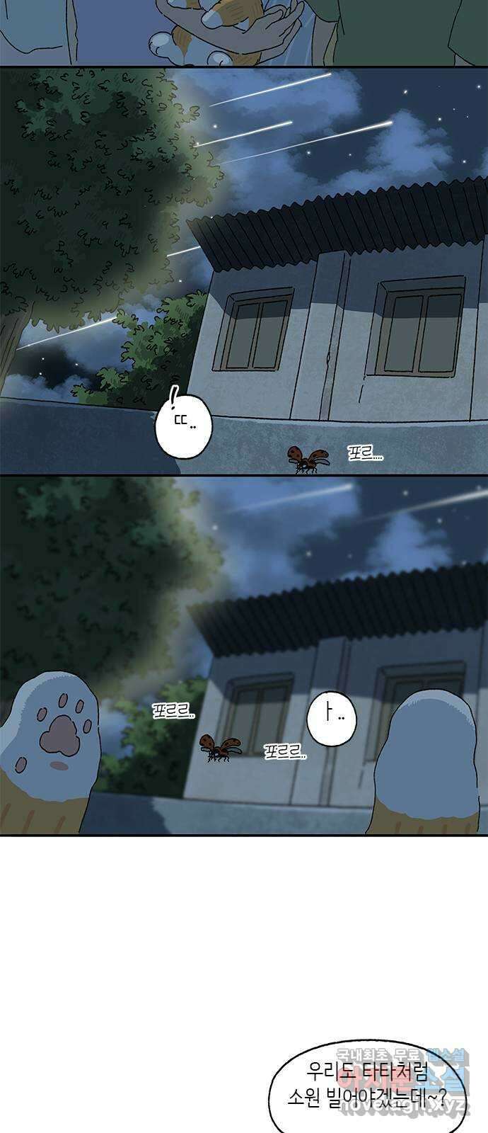 고양이 타타 42화 4