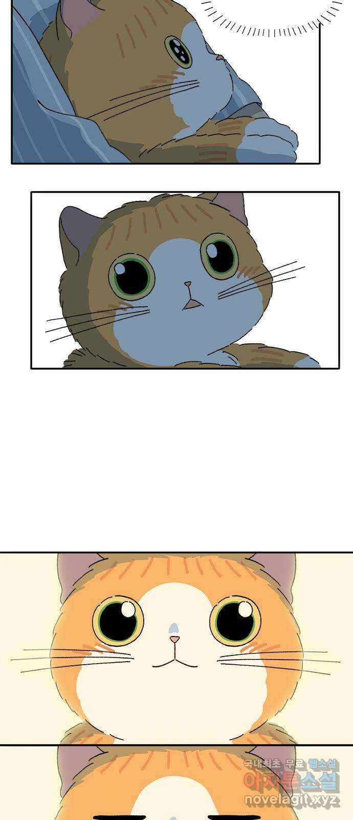 고양이 타타 42화 11