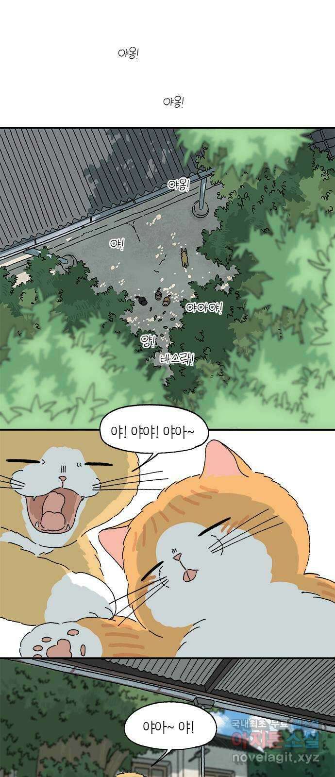 고양이 타타 42화 16