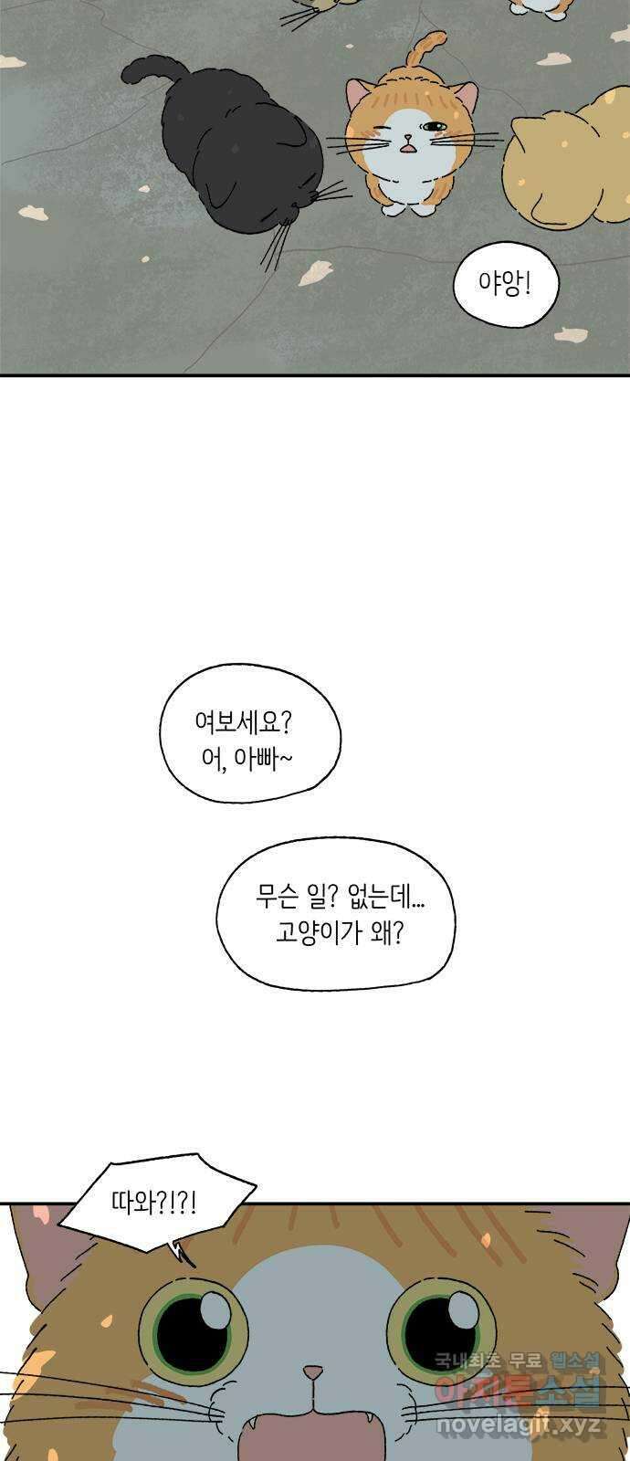 고양이 타타 42화 18