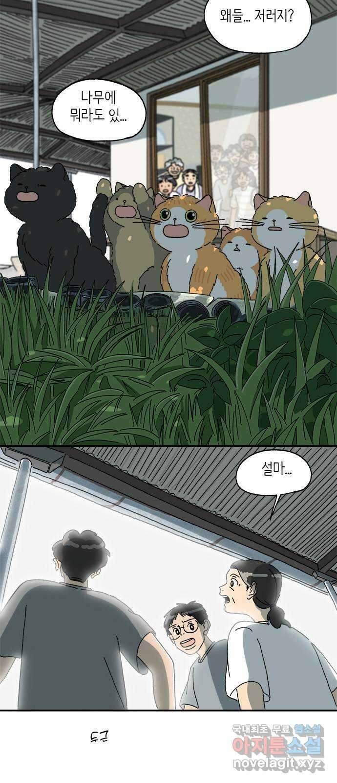 고양이 타타 42화 24