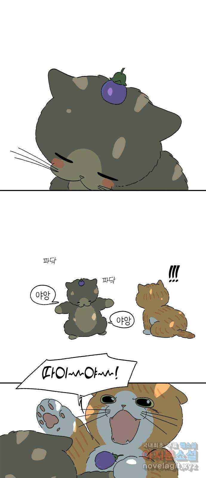 고양이 타타 42화 28
