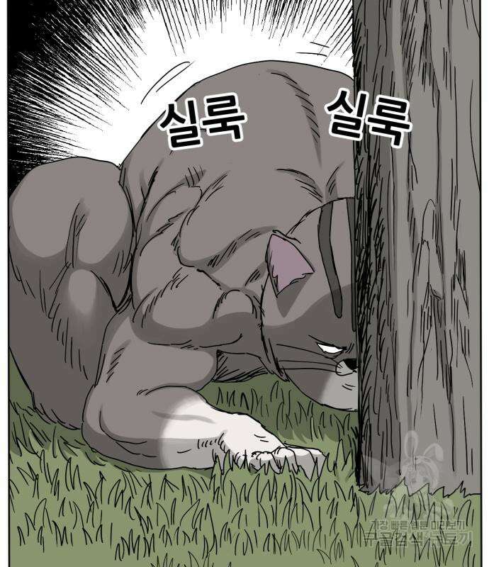 괴양이 21화 26