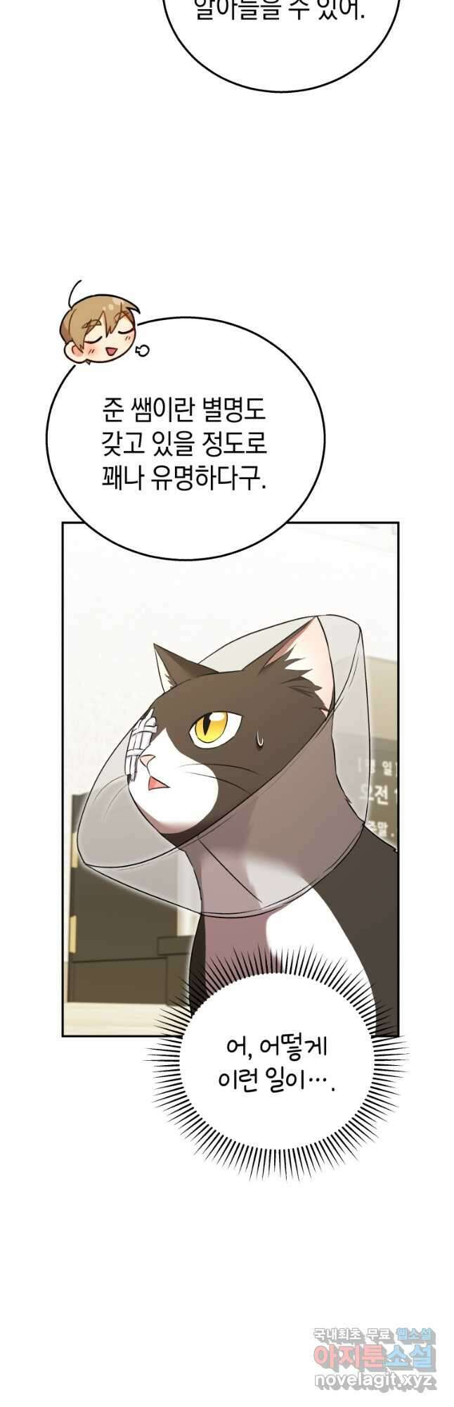 수의사님! 안녕하세요 28화 4
