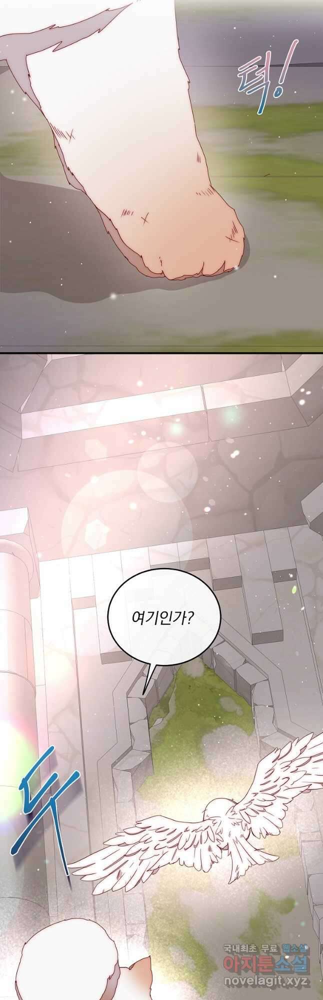 비비안을 잊어주세요 50화 35